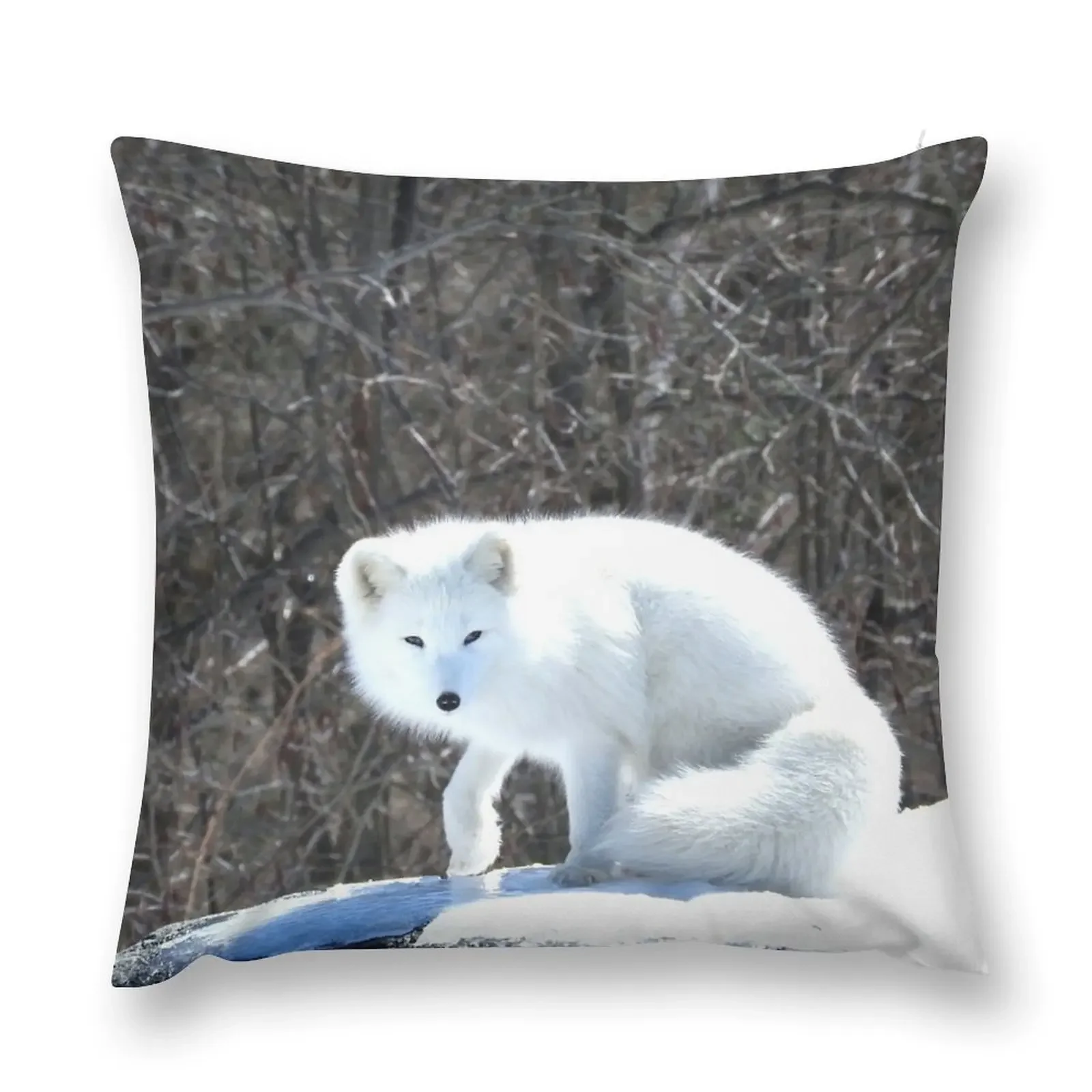 Artic Fox Throw Pillow Decorative pillow case Sofa Cushion pillow