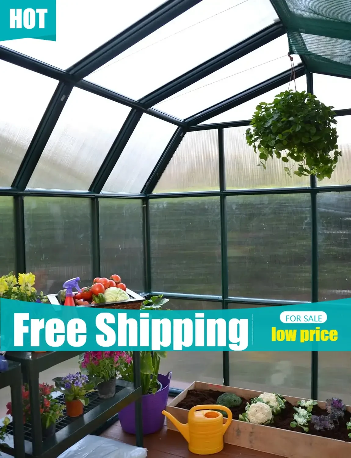 

Hot Sale2 | 8 Ft. x 12 Ft. Greenhouse, Large Clear Twin Wall Polycarbonate Heavy Duty Green House DIY Kit