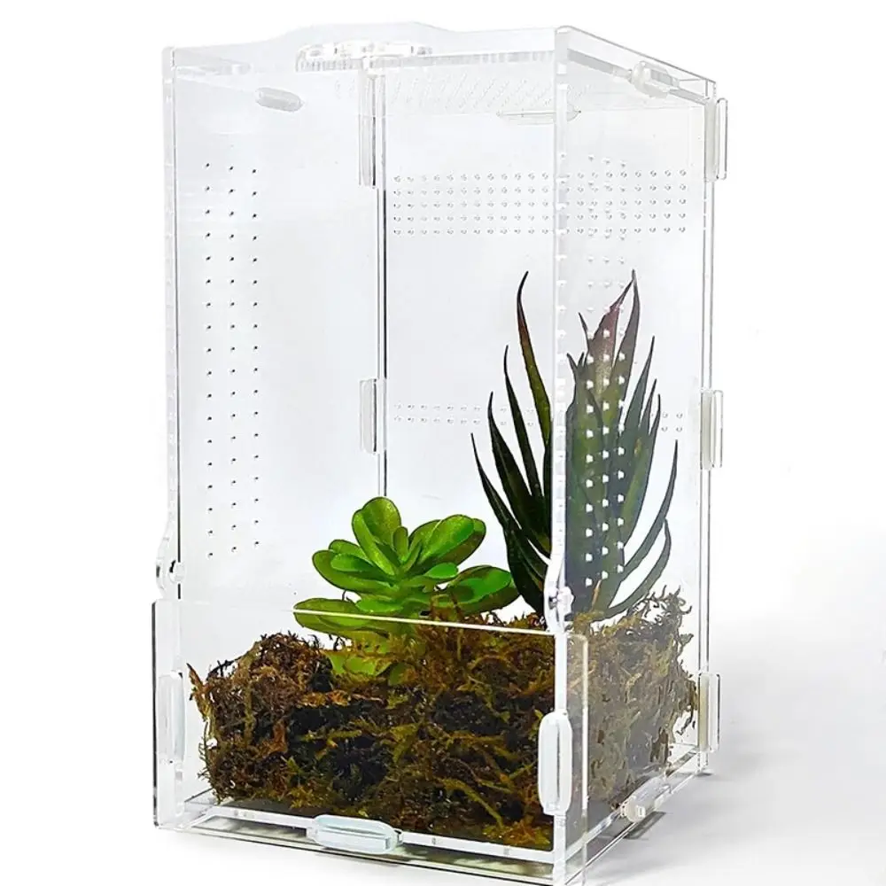 Acrylic Jumping Spider Enclosure Buckle Lock Escape Proof Reptile Feeding Tank Ventilated Transparent Spider House