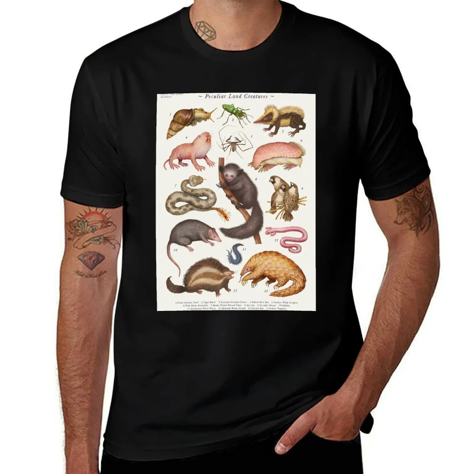 Peculiar Land Creatures T-Shirt Holiday Simple Tee Shirt T-Shirt
