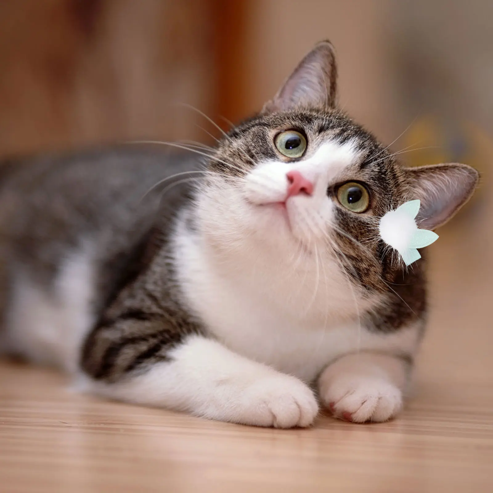 

5pcs Pet Hair Clips Creative Dog Headdress Stylish Hairpins Durable Lightweight Decorative For Dogs Outdoor Daily Events Photo