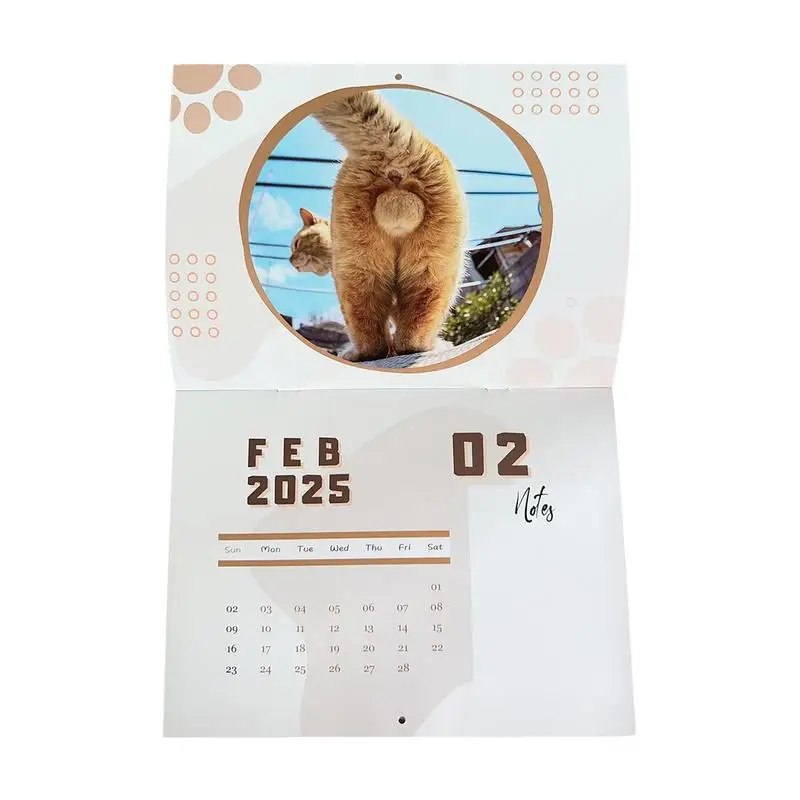 Cat Balls Calendar Sturdy Glossy Pages Cat Butt Calendar Cat Butthole Calendar 2025 For Keeping An Accurate Track Of Important