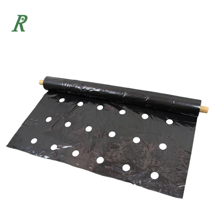 2025年農業用プラスチックマルチフィルム（穴あき/穴なし）