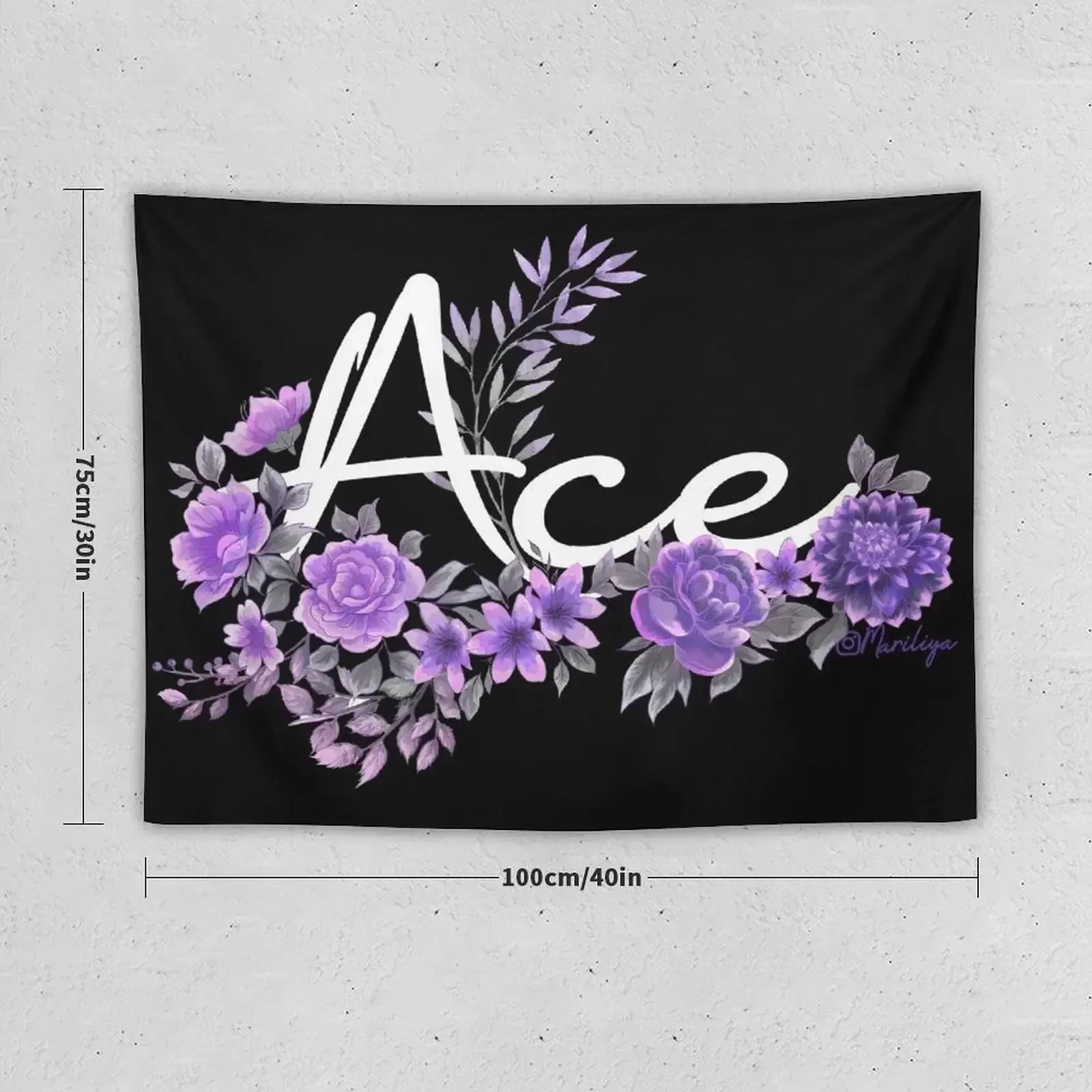 Ace-LGBT pride Tapestry Room Decore Aesthetic Outdoor Decor Cute Decor Tapestry