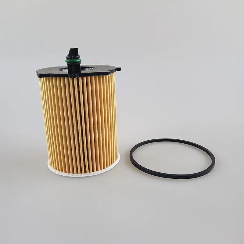 

10Pcs/ Set Engine Oil Filters For Citroen C4 C-ELYSEE DS4 Nemo Xsara For Ford Focus For 206 308 For Liana For Maz