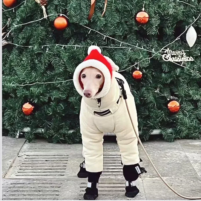Thumbnail 3 - #5 Pet Winter Clothing Comparison Guide