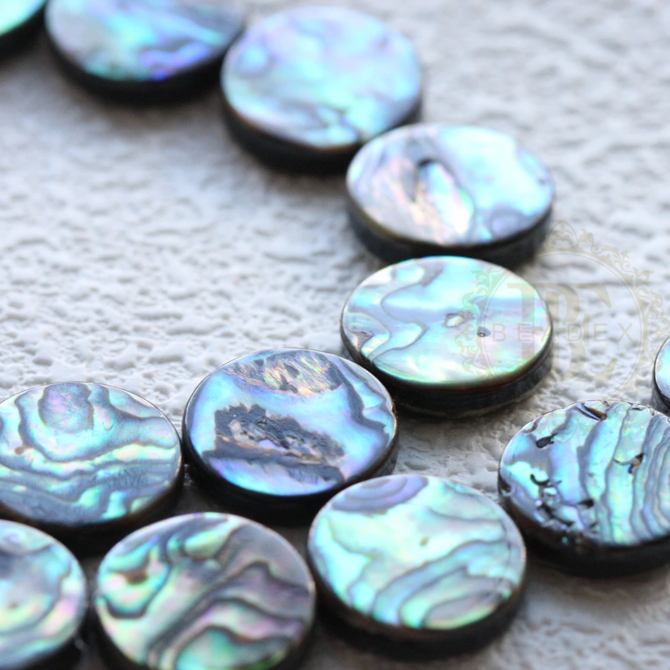 2 Pieces Abalone Shell Beads - Varies Shapes and Sizes (G476)