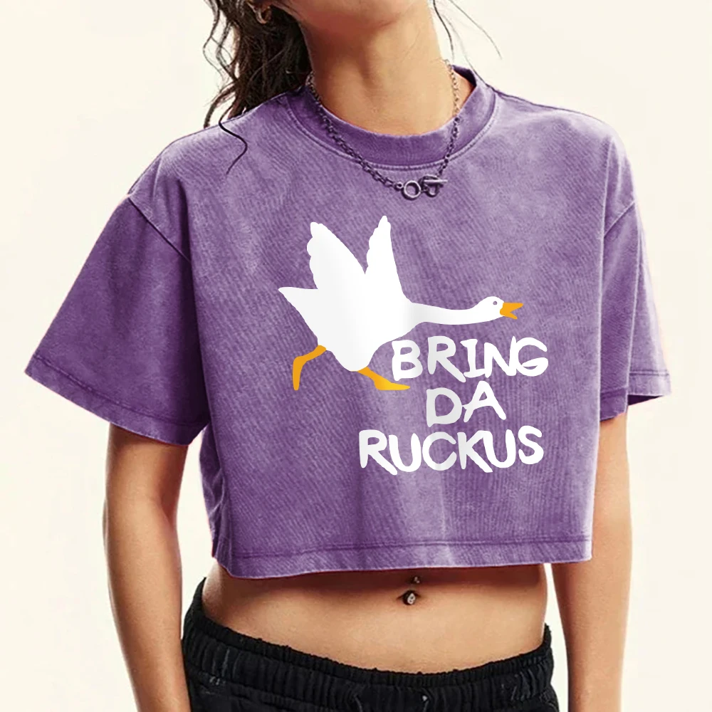 Bring Da Ruckus Duc… - image