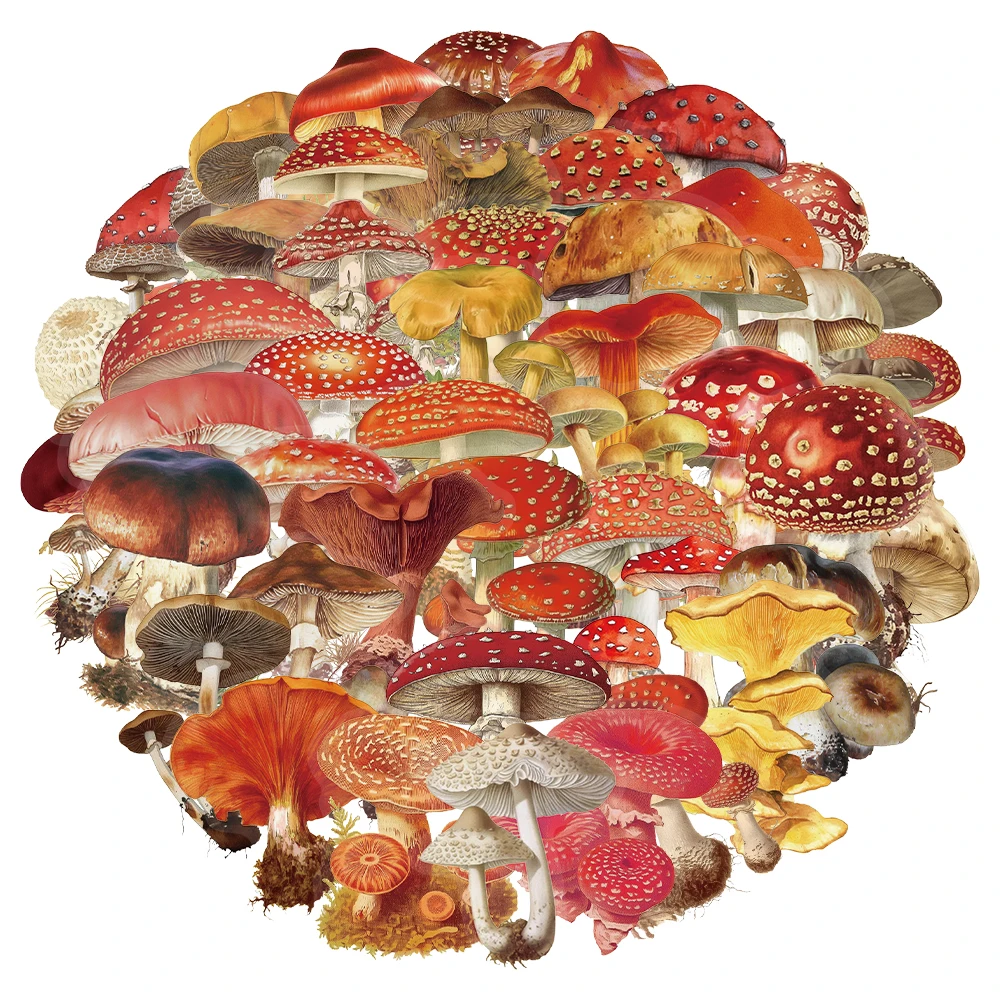 50PCS Creative Retr…