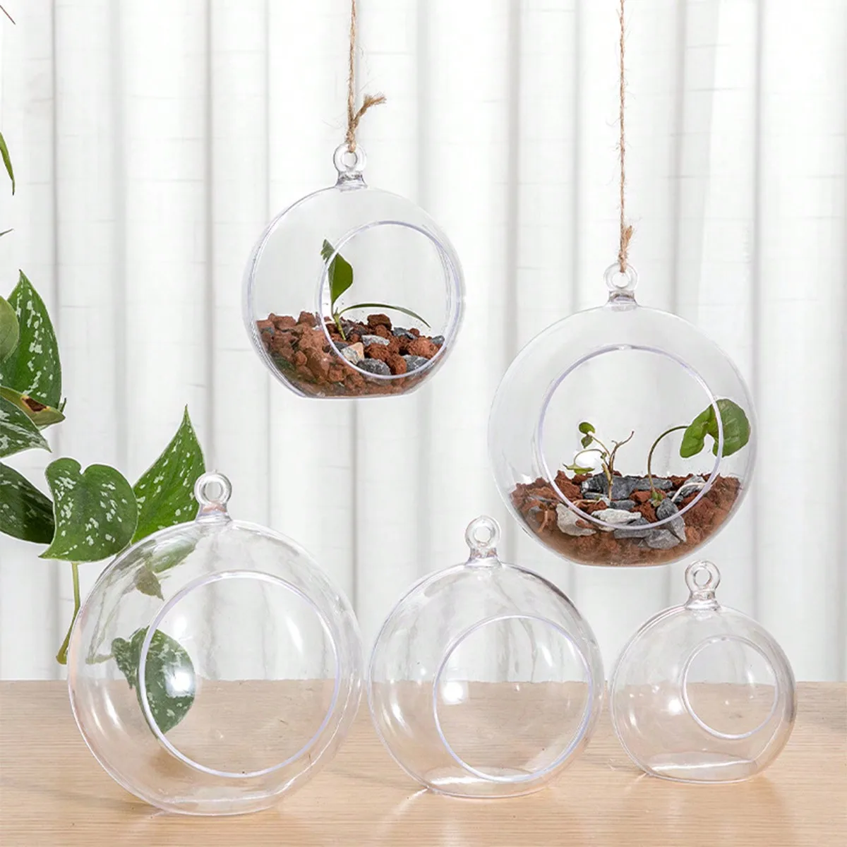 1pc,Stylish Plastic Terrariums Planter For Hydroponics Plants - Oblate Flower Vase For Wall Hanging Decoration - Perfect Home