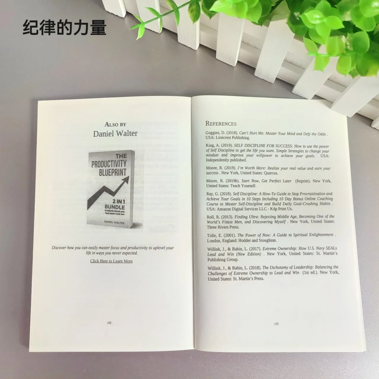 O Poder da Disciplina: Como Usar Auto Controle e M