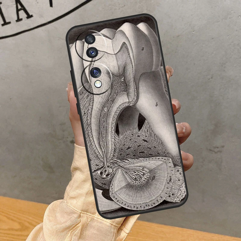 Human Tooth Anatomy Case For Huawei P20 P30 P40 P50 Pro Lite Nova 5T P Smart 2021 Honor 50 70 X7 X8 X9 Cover