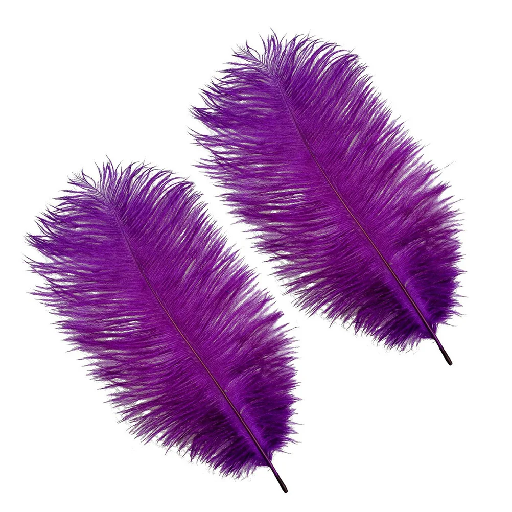 

10pcs Wedding Ostrich White Craft Decoration For Party Home Diy Centerpieces Natural Artificial Decorations