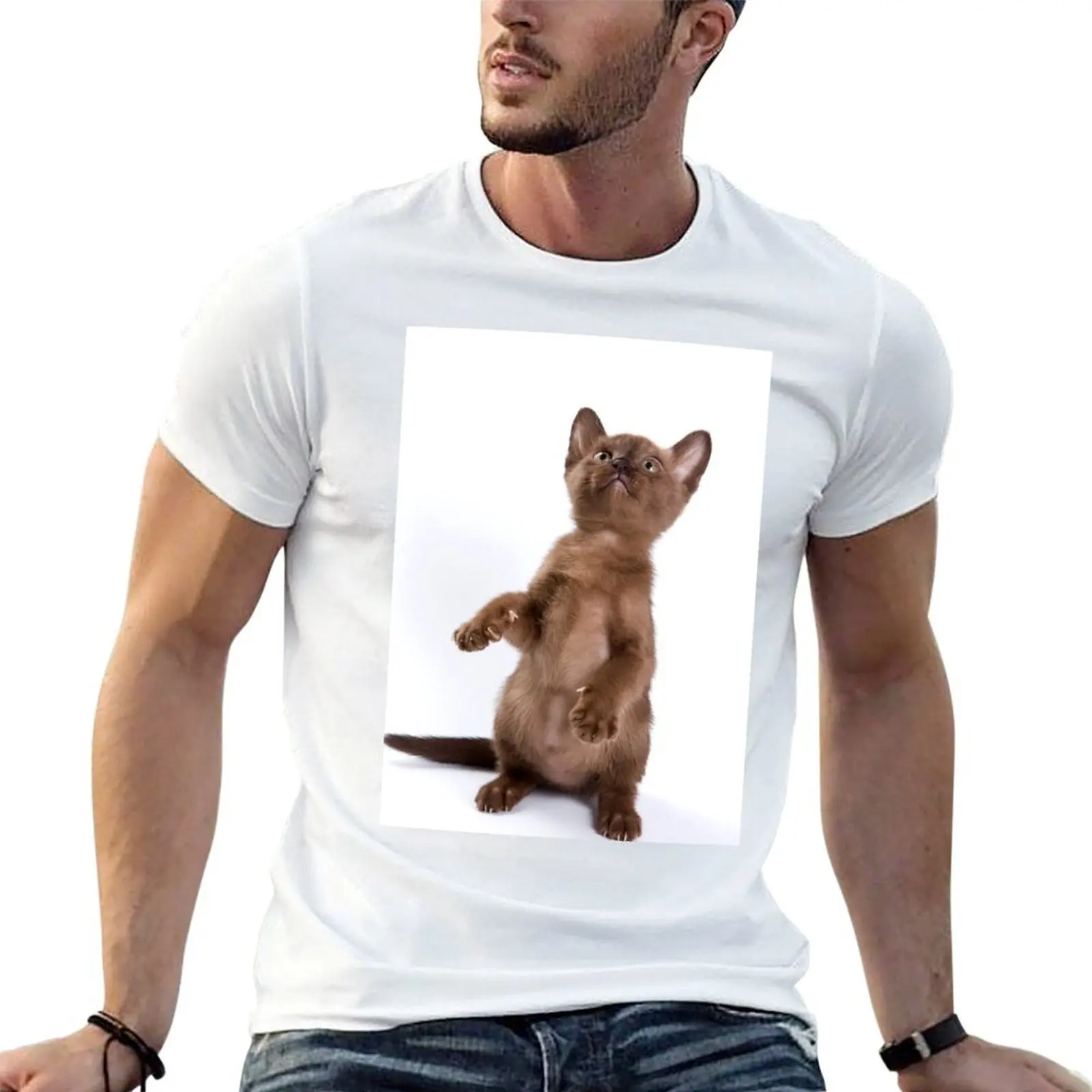 Brown Burmese kitten (isolated on white) T-Shirt summer top fashion shirts men workout shirt