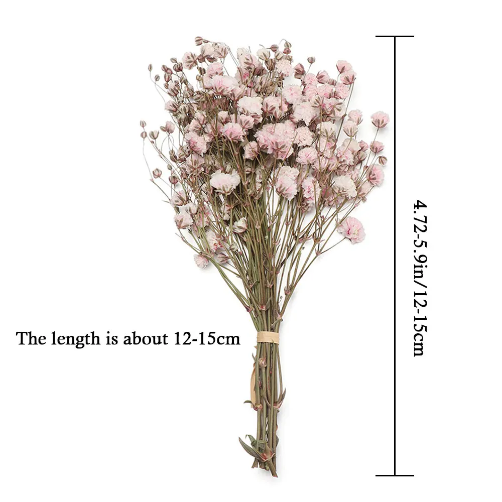Decoração decorativa para casa, adereços para fotos, decoração de casamento, mini babysbreath, flor real, hastes de plantas, buquês secos naturais
