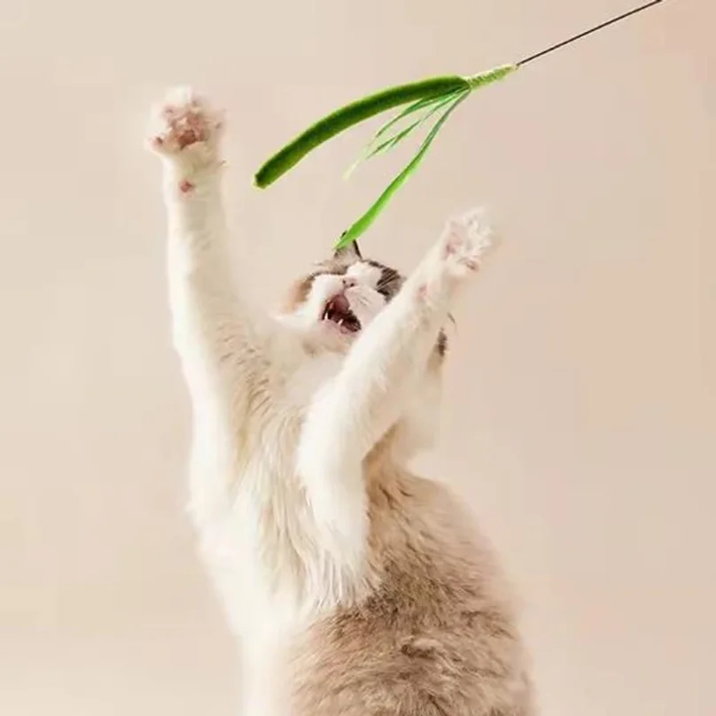 New Cat toys, dog tail grass teasing cat pole feather pole wire cat toys, feather pole, flexible wire durable pet supplies