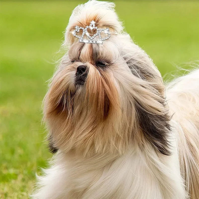 Pinzas para el pelo con forma de corona para perro, horquilla bonita para mascotas, suministros decorativos para cachorros y gatitos