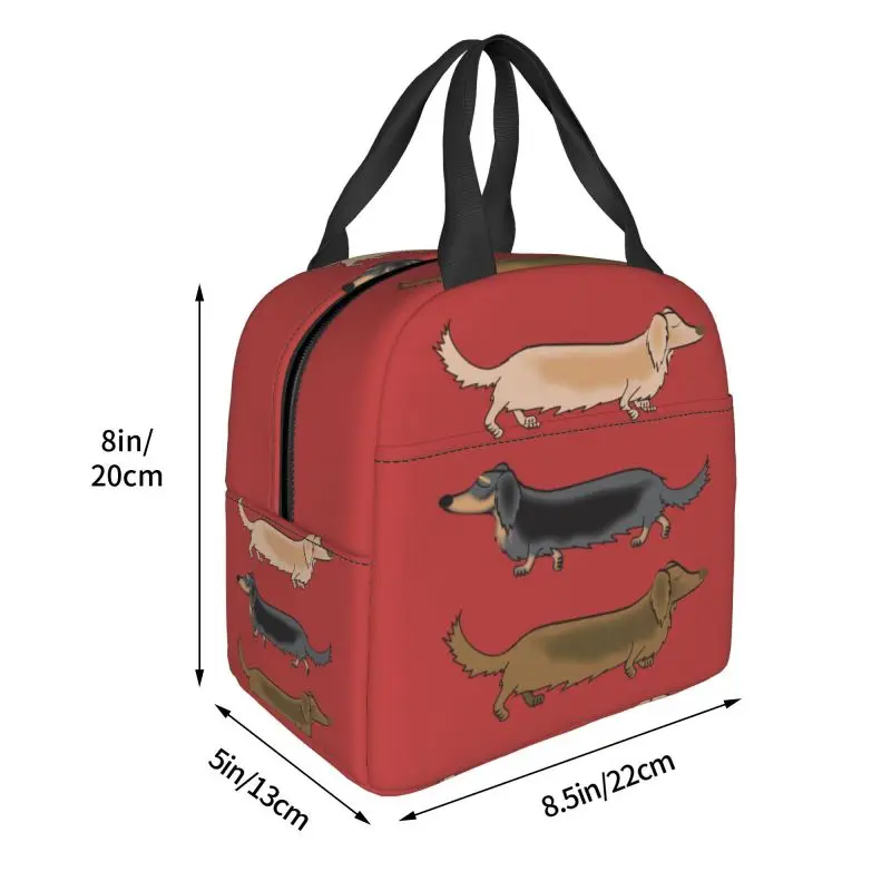 Kawaii Dachshund Dogs Insulated Lunch Tote Bag for Women Wiener Sausage Dog Portable Cooler Thermal Bento Box Work School Travel