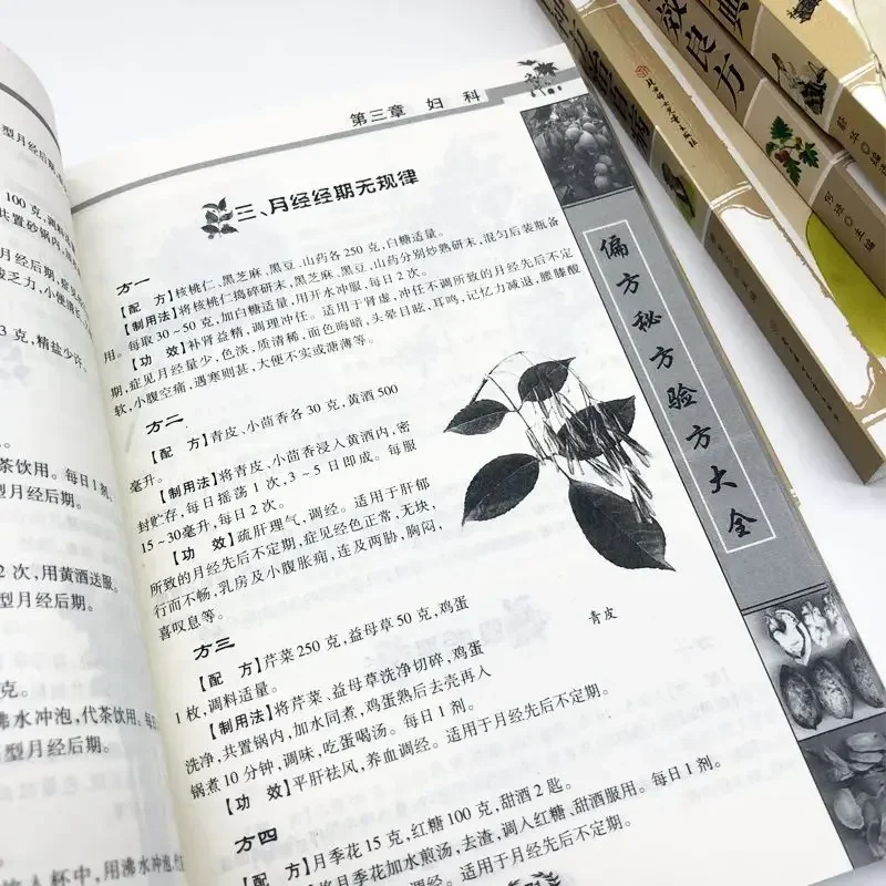 Satu Set Lengkap 4 Jilid, Koleksi Buku Pengawet Kesehatan Tiongkok, dan Pengobatan Rakyat Ajaib Rakyat