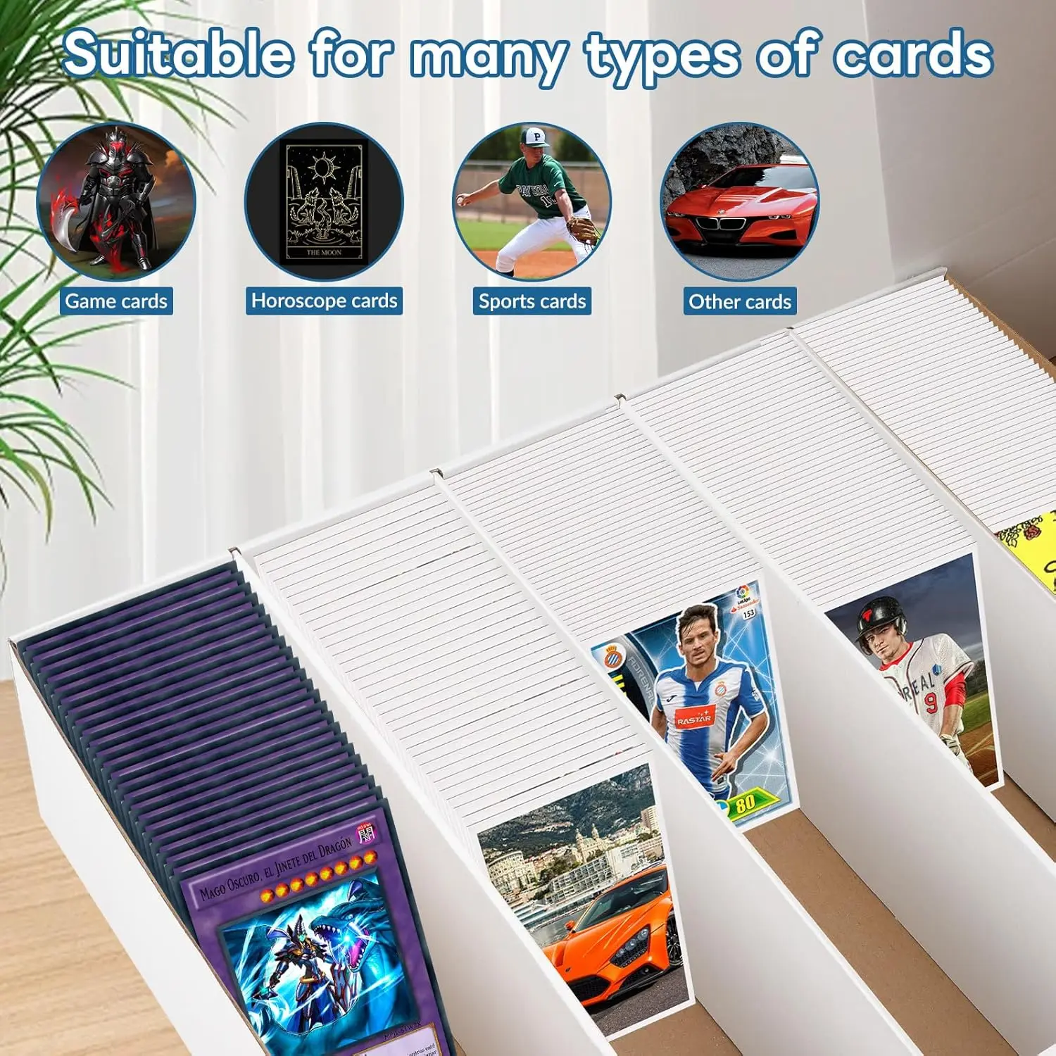 6-Pack 3700-Count White Card Storage Box with Sorting Tray for Sports and Trading Cards