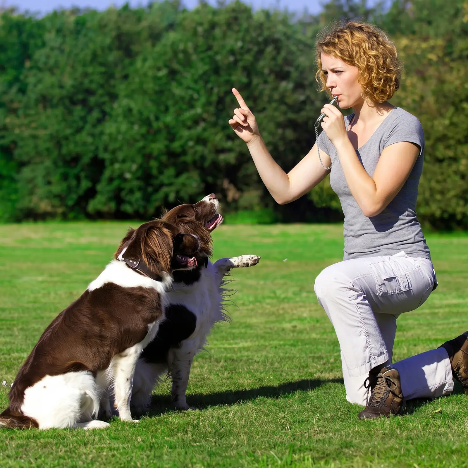 Sifflet à ultrasons pour chien en acier inoxydable, haute fréquence, inaudible pour les humains, tonalité réglable pour l'entraînement à l'obéissance et le rappel