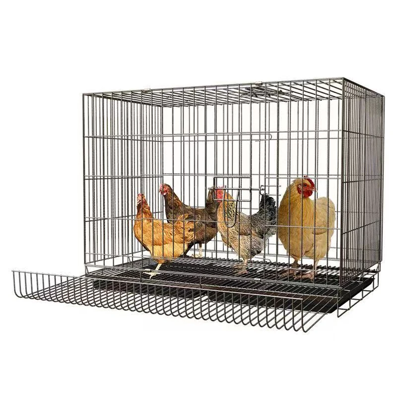 Manufacturer Wholesale Folding Metal Chicken Coop Cage Plastic Animal Cages For Farm Use Used Condition