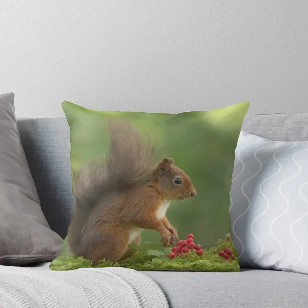 

Red Squirrel Throw Throw Pillow Pillowcase Cushion Christmas Pillow Covers pillows decor home pillow