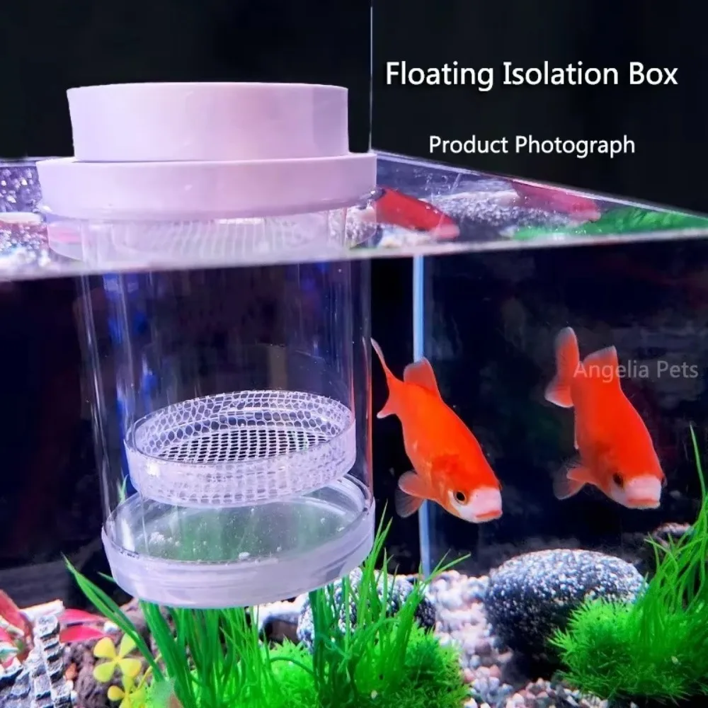 Kunststoff Mesh Schwimmende Brut Box Garnelen Guppy Aquarium Züchter Schwimmende Fische Zucht Isolation Box Transparent Abnehmbare