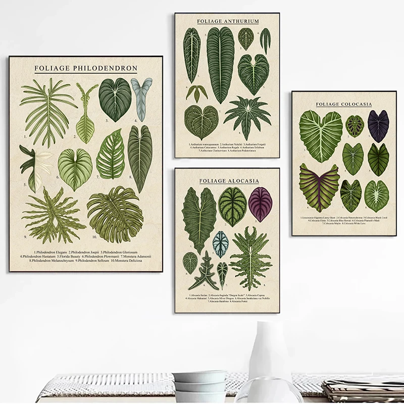 Pinturas en lienzo de plantas de filodendro de follaje, carteles e impresiones de Anthurio, Cuadros artísticos de pared para decoración de sala de estar, Cuadros