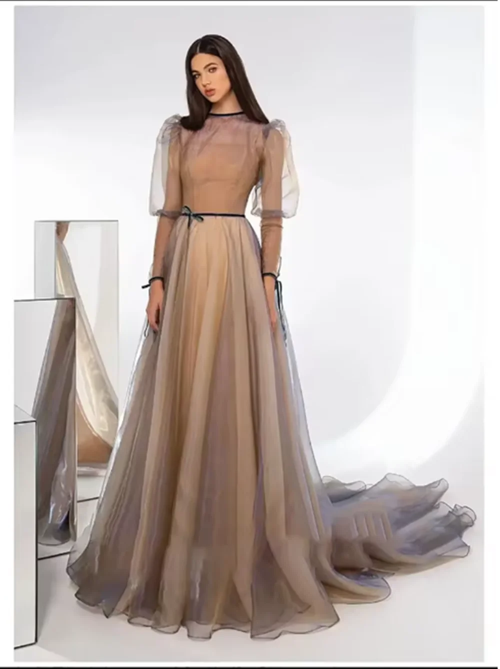 فساتين حفلات أورجانزا بسيطة برقبة دائرية وأكمام طويلة منتفخة للحفلات للنساء مناسبة رسمية #1