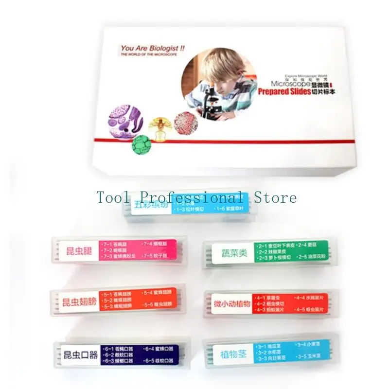 57QF Comprehensive Collection Of 35pcs Glass Biology Prepared Slides with Seven Types for Educational Laboratory