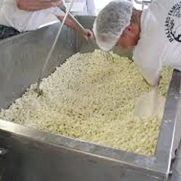 Small Cheese Making Machine Mozzarella Cheese Making Machine view 6