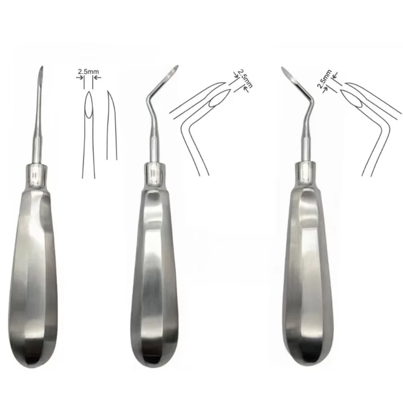 Dental Elevator Luxating Lift Elevators Clareador Curved Root Dentist Surgical Tools Stainless Steel