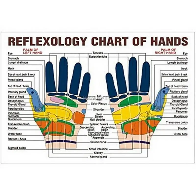 Anel de massagem de dedo de aço inoxidável 10 tamanhos, anel de acupuntura, terapia, relaxamento, circulação sanguínea das mãos, alívio da dor, cuidados de saúde