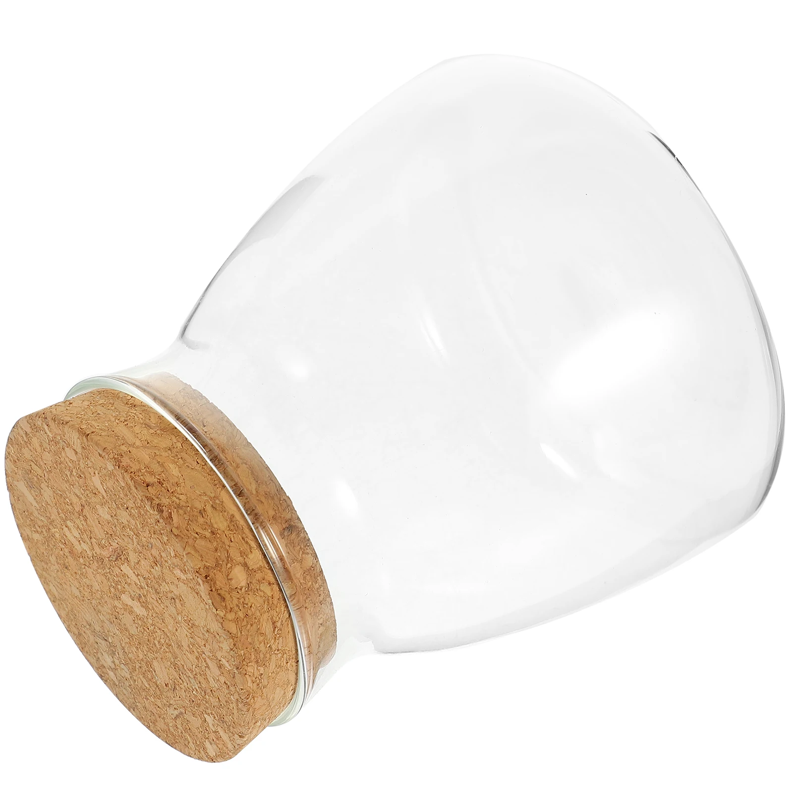 

1pc Micro Landscape Glass Bottle Glass Terrarium With Stopper Moss Ecosystem Micro Jar Hydroponic Plants Small Fish Tank 10cm