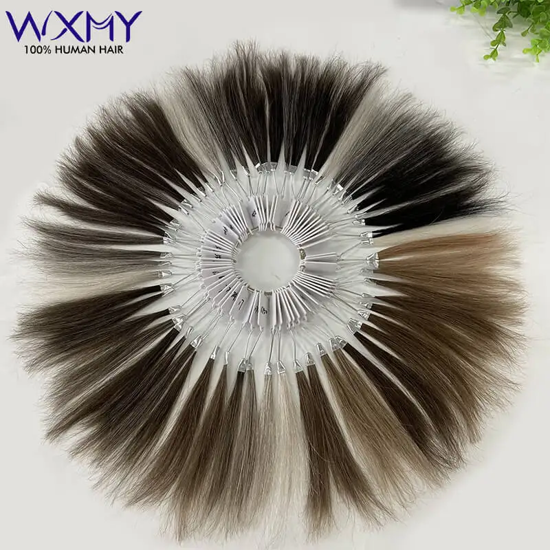 61 Colors Human Hair Color Ring For Men Toupee Salon