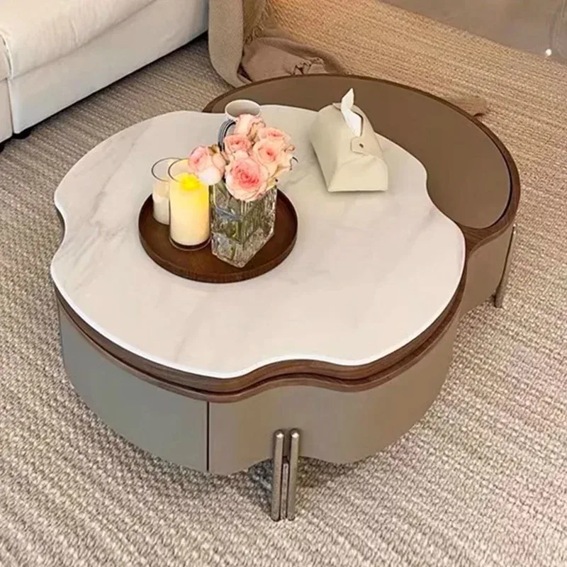 

Accessories Storage Coffee Table Nordic Luxury Delicacy Quality Coffee Tables Trendy Universal Mesa Auxiliar Trendy Furniture