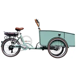 Fashion Europe Beautiful 3 Wheel Cargo Bike for Family Carrying Kids Tricycle Adult Cargo Bike with Pedal Child Seat Bike