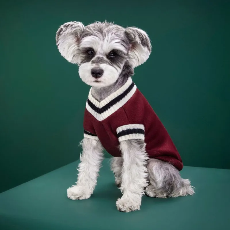 Dog Cat Sweater College Style V-neck Teddy knitted Vest Pet Puppy Winter Warm Clothes Apperal for Small Medium Large Dogs Cats