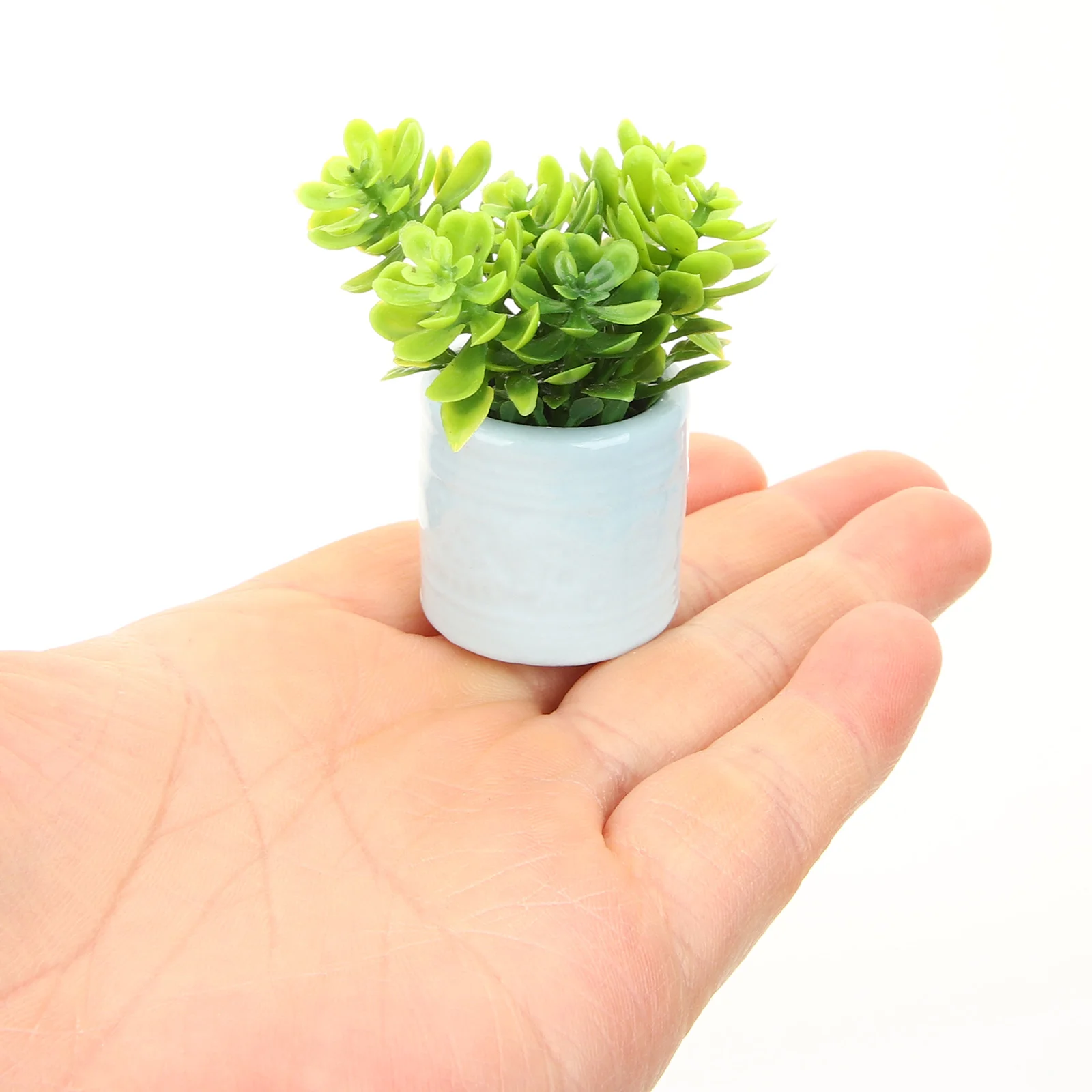 

Mini Bonsai Micro Landscape Decoration House Accessories for Home Miniature Model Potted Plant Tiny