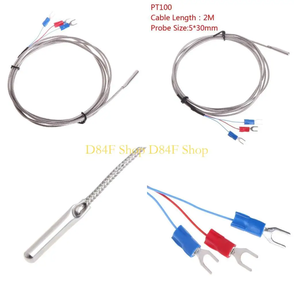 D84F Rtd PT100 Ther…