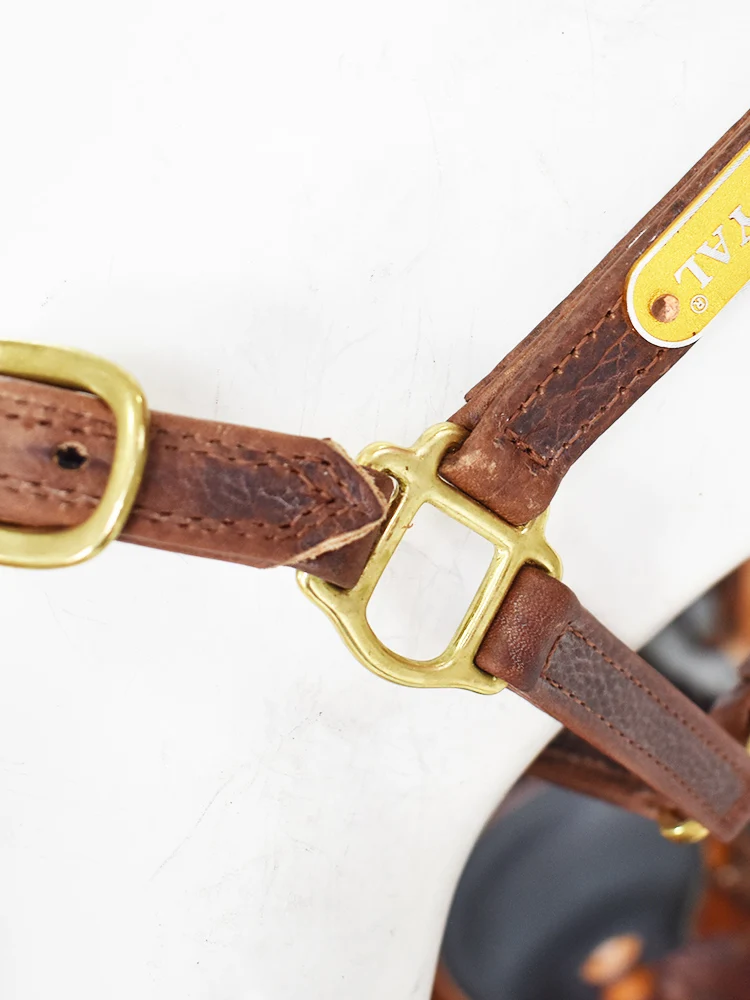 Wholesale High Quality Horse Headcollars Manufacturer, Horse Equipment Design Your Own Horse leather Halter