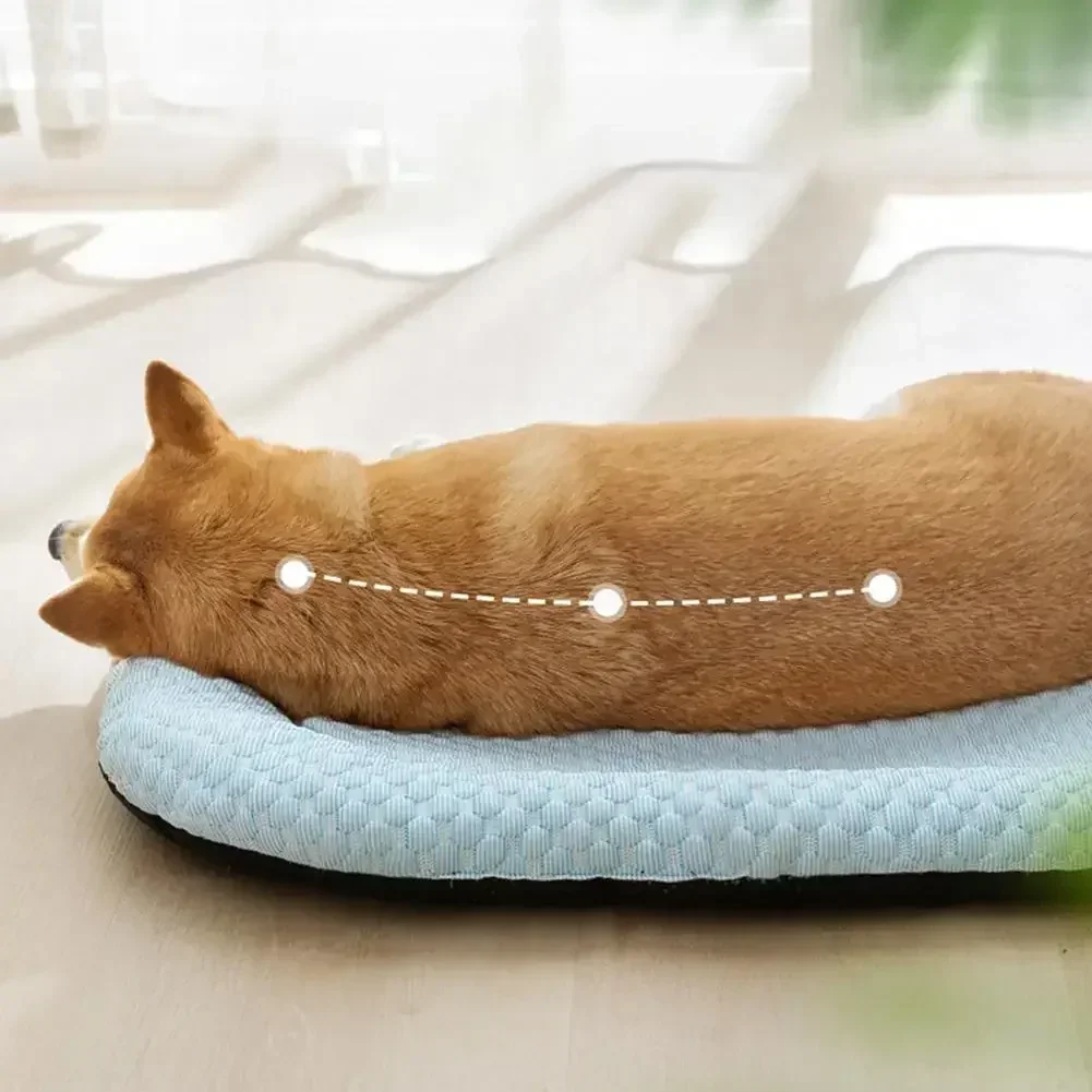 Thumbnail 3 - #17 Trending Cooling Dog Mats Right Now