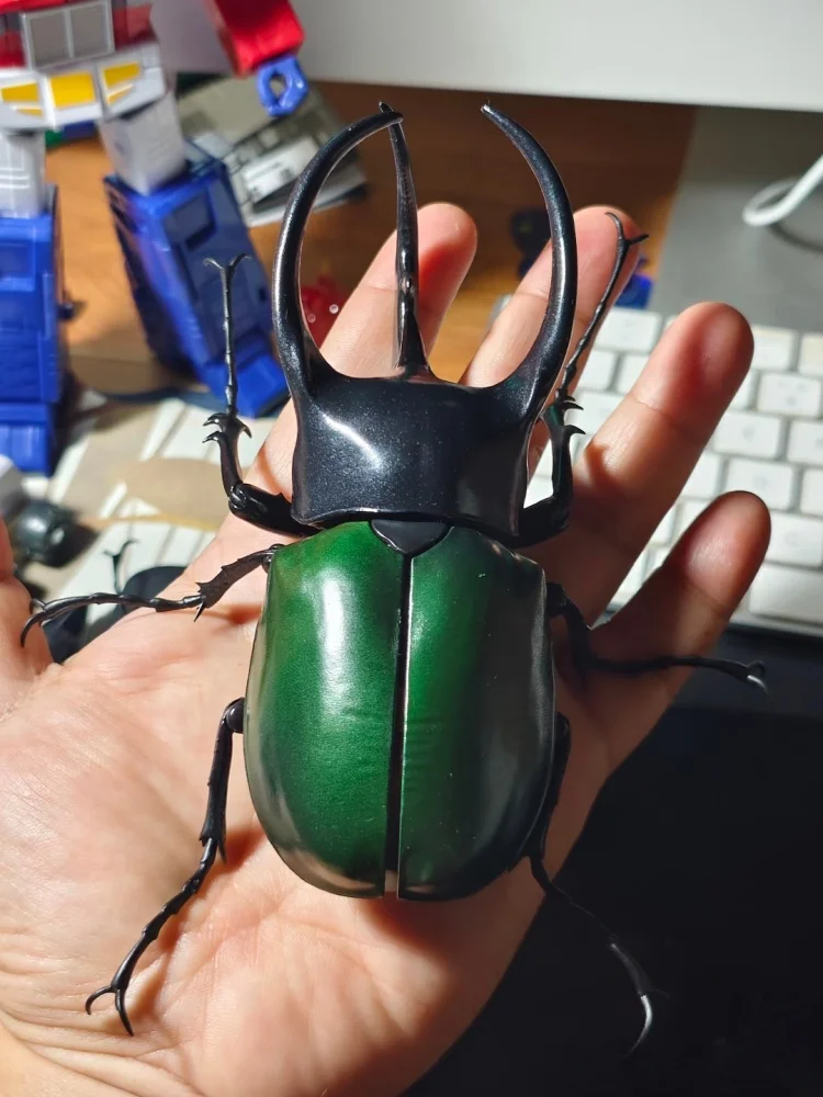 بانداي تشالكوما أطلس القوقاز خنفساء نموذج متحرك لعبة زخرفة الحشرات فائقة الواقعية لهواة الجمع شخصيات الحركة الأصلية #2