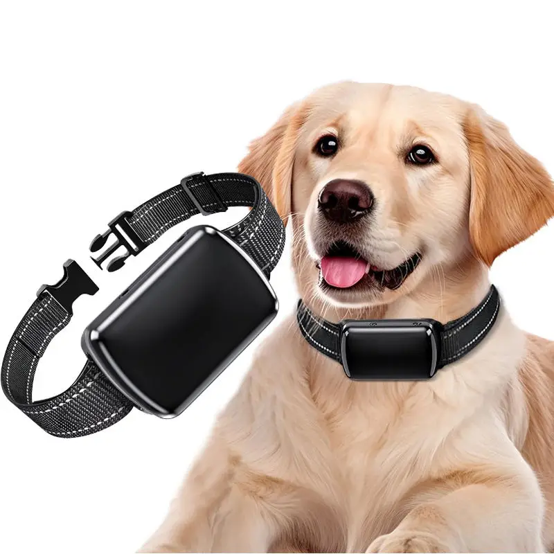 

Top 1PCS Pet GPS Tracker with Adjustable Collar Real Time Tracking Anti Lost Dog Locator IP68 Waterproof