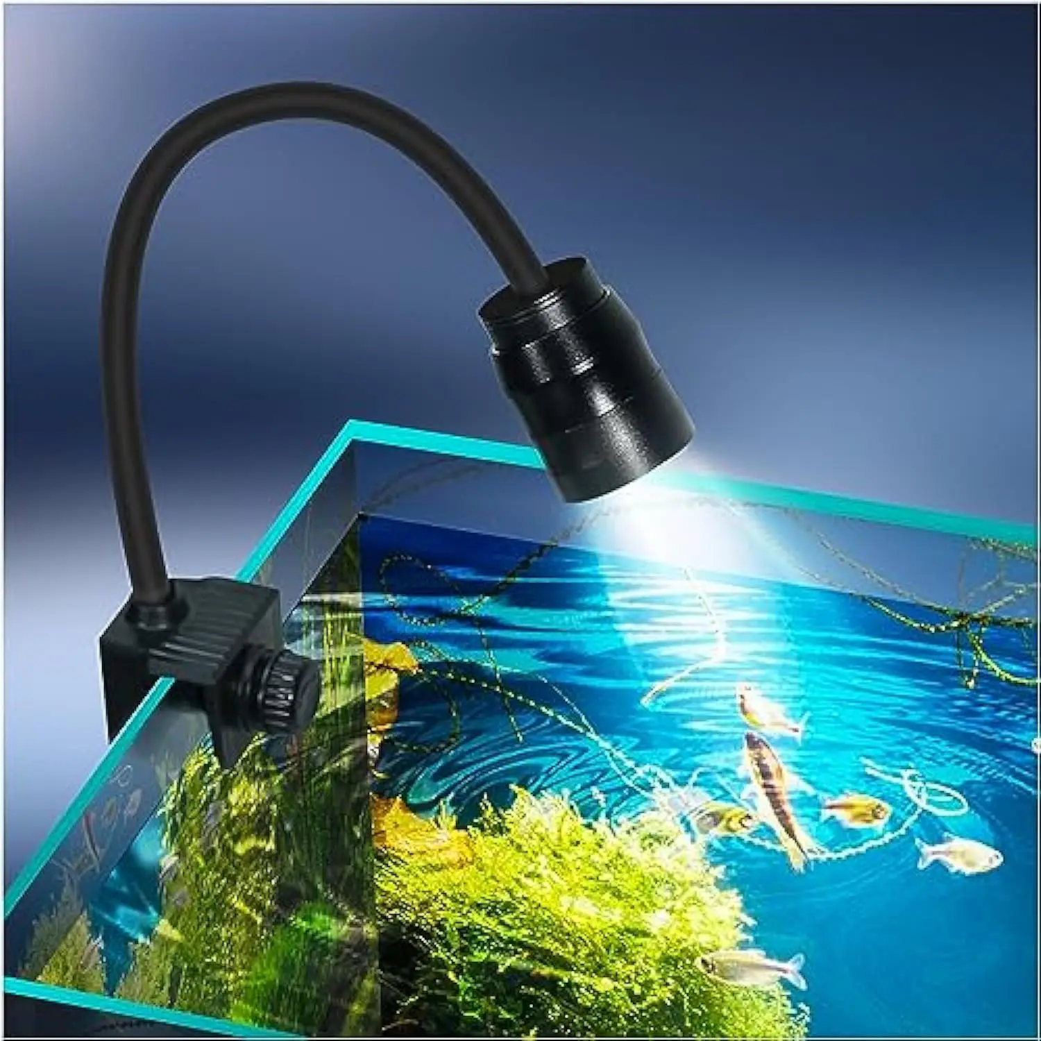 

Zoomable Color-adjustable Fish Tank Light South American Aquatic Plant Lamp Led Thunder Dragon Lighting