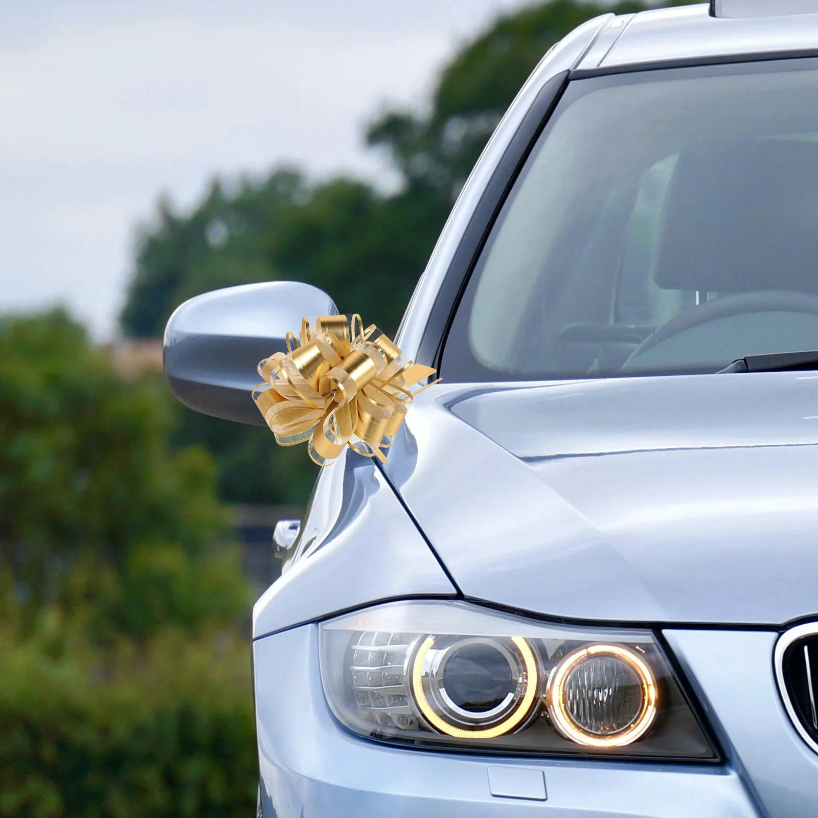 

10Pcs Wedding Car Pull Bows Flowers Stunning Decorative Effect Fade Resistant Versatile Use Elegant Addition