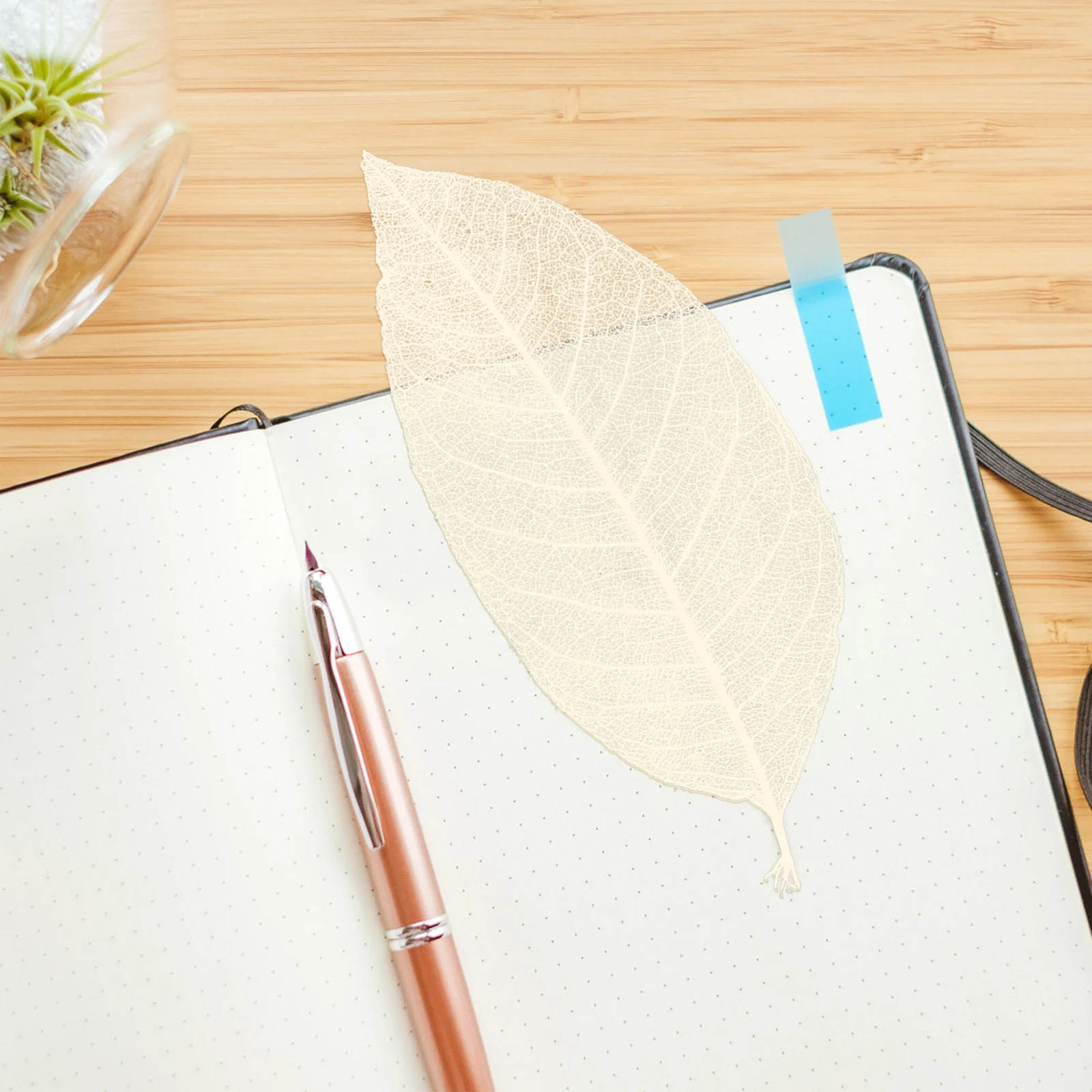 

100 Pcs Leaf Vein Specimens Natural Craft Large Wooden Embellishment Scrapbooking DIY Materials Tree Leaves Decor Home