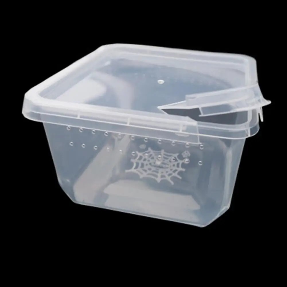 Reptile Breeding Box With Flip Cover Transparent Breathable For Frogs Snake Spider Drop Shipping