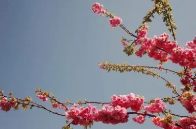 

1 шт. # AR310429 Стальная шестерня HR M1, 52 зуба, запасная часть для радиоуправляемых машин Arrma 1/8 Karton Senton Outcast Talion